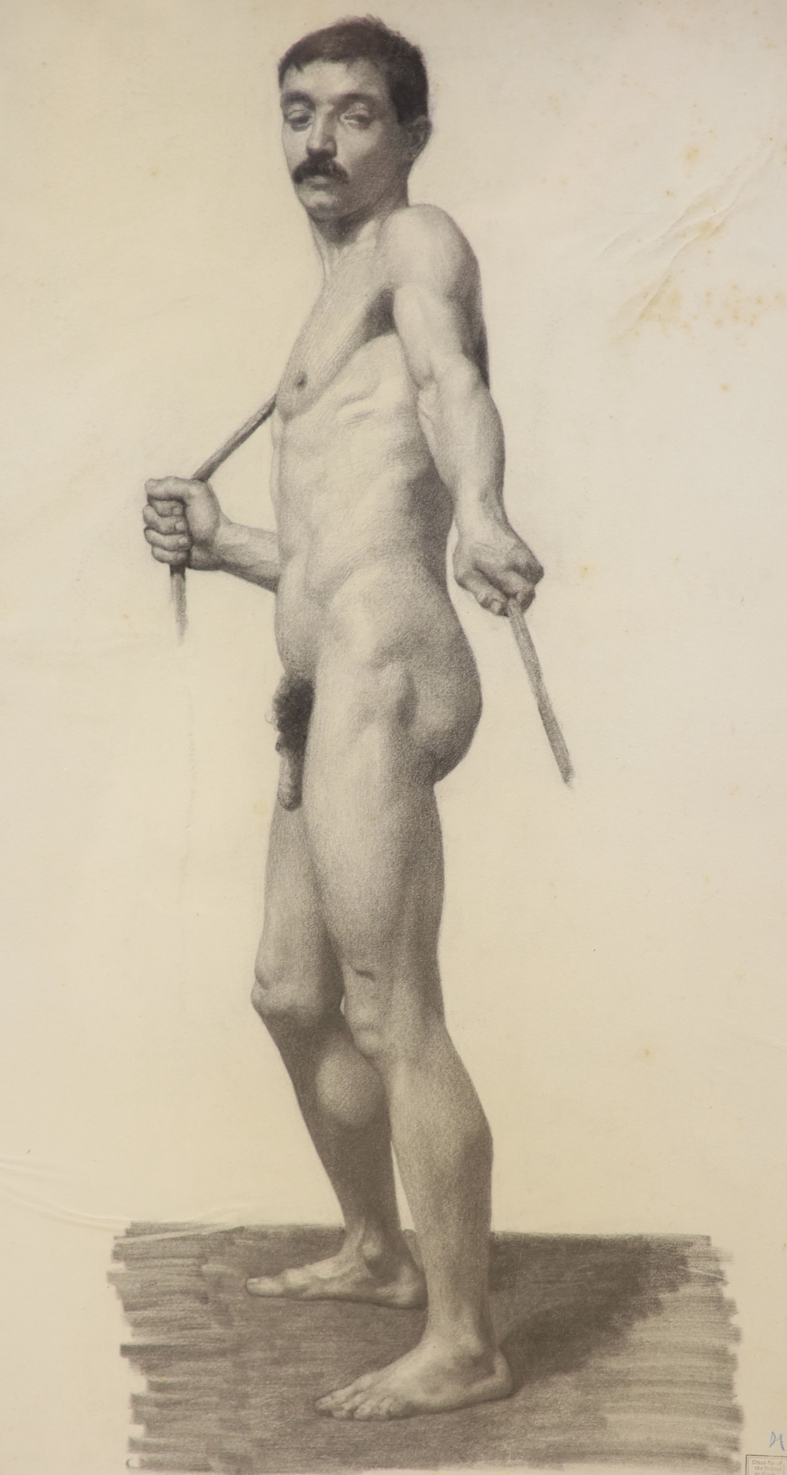F. Gregory 1895, charcoal study, Standing male nude, with Art College stamp, 69 x 43cm